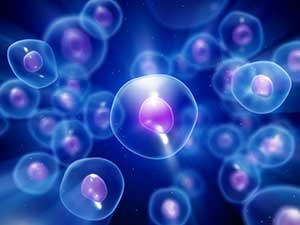 Stem Cell Therapy for Hepatitis and Cirrhosis