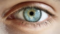 Blue eye showing natural limbal ring around iris